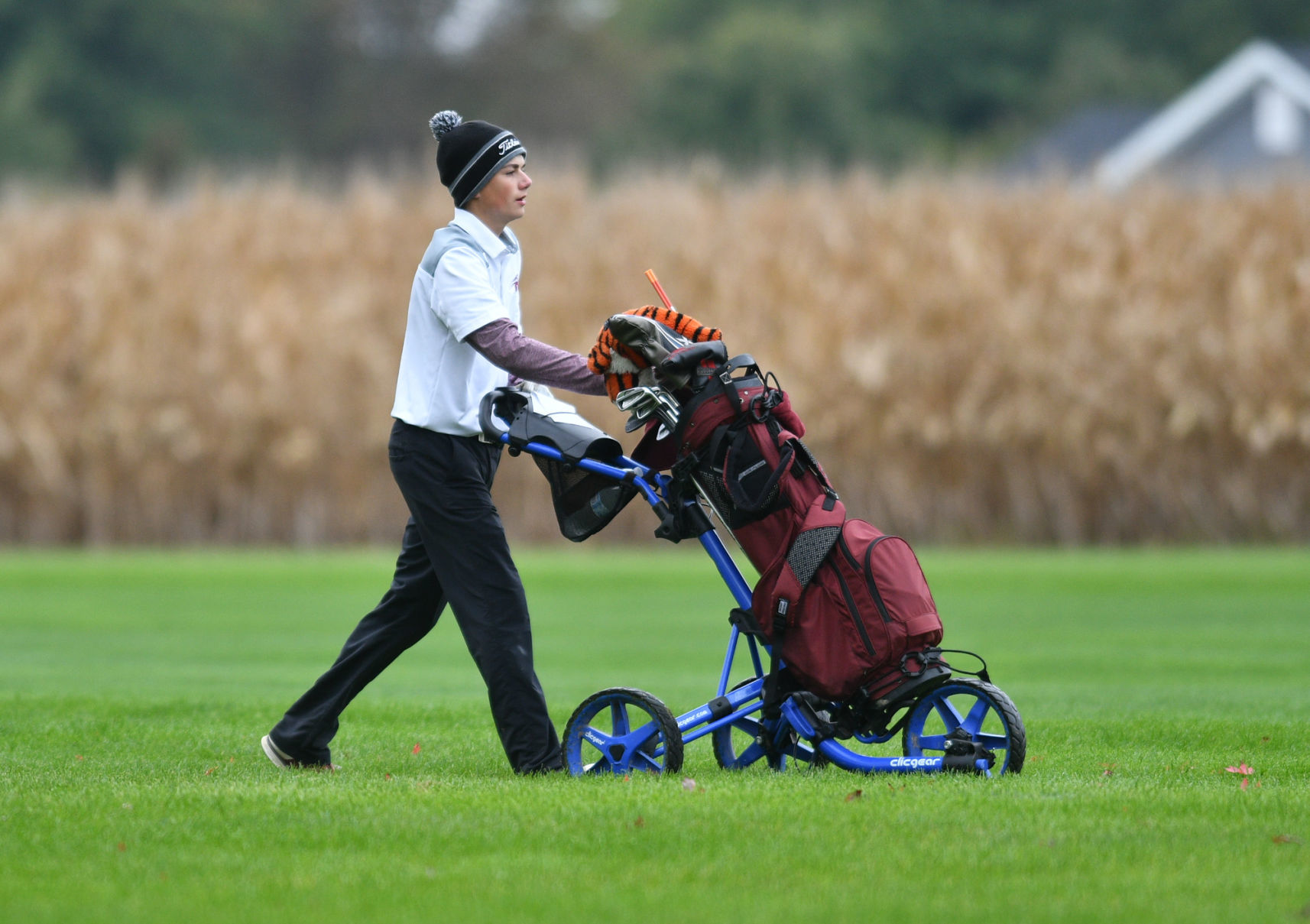 Class 1A Orion Regional Boys Golf